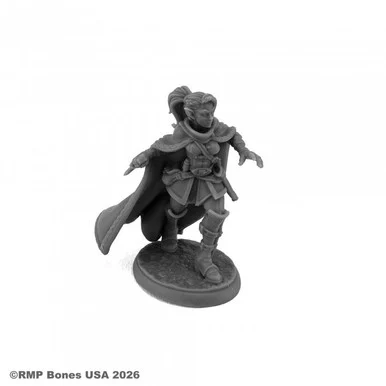 07219 - Dungeon Dwellers: Lothiriel, Female Elf Rogue Elf Thief