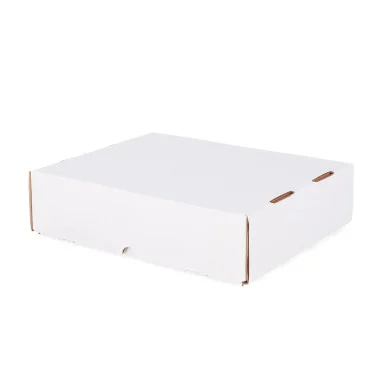 3200 Count Storage Box (Full Lid) - BCW