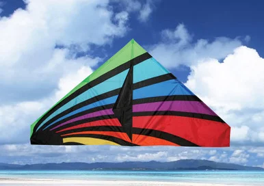 Skydog Kites SKK11154 Prisma Delta 55"