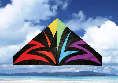 Skydog Kites 11155 Black Lightning Delta 55"