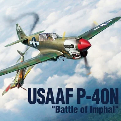 1/48 P-40N USAAF - ACY12341