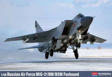 1/48 MiG-31 BM/BSM Foxhound Russian Air Force