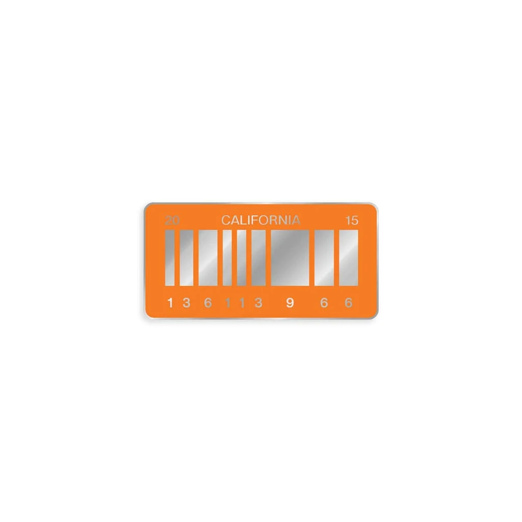 Back to the Future – 2015 License Plate Enamel Pin - Bruce Yan