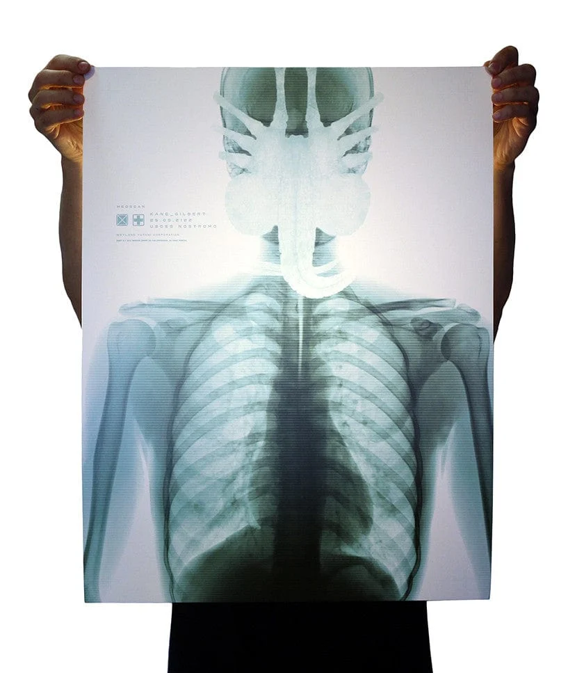 Alien - Jay Shaw