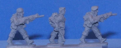 PIG010018 - AUSTRALIAN SAS