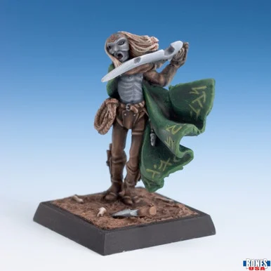 30243 - Bones USA Reaper Legends: Dark Elf Assassin