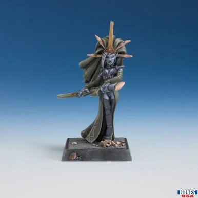 30246 - Bones USA Reaper Legends: Dark Elf Priestess