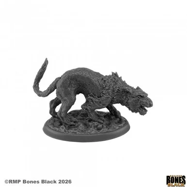 44285 - Bones Black: Elven Cat