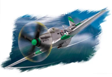 1/72 P-51D MUSTANG - 80230