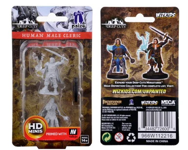 Wizkids 72600 Pathfinder Deep Cuts Unpainted Miniatures: Human Male Cleric