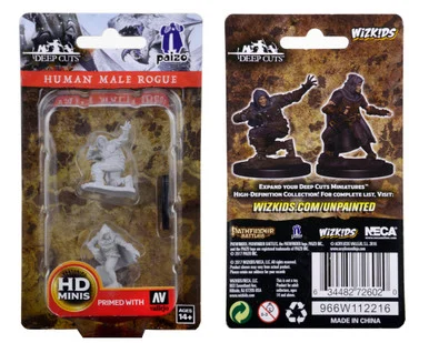 Wizkids 72602 Pathfinder Deep Cuts Unpainted Miniatures: Human Male Rogue