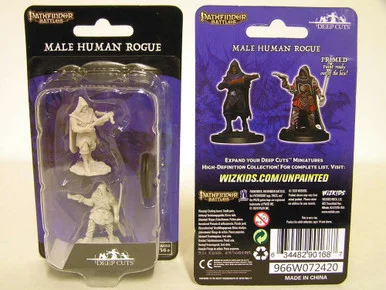 Wizkids 90168 Pathfinder Deep Cuts Unpainted Miniatures: Human Rogue Male