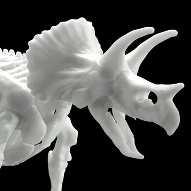 Dinosaur Limex Skeleton: Triceratops - Bandai - BAN