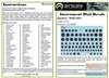 ASCAS24RAF 1:24 Airscale Instrument Dial Decals - WW2 RAF #AS24RAF
