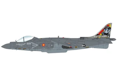 EAV-8B "RIAT 2023" 01-916, VA.1B-6 HA2636 Scale 1:72