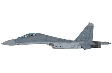 J-16 Hidden Dragon 78731, PLAAF HA9560 Scale 1:72