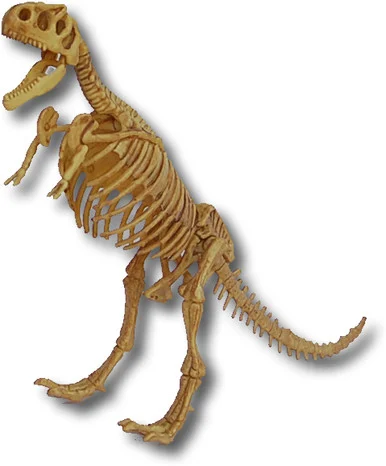 IMEX 49754 T-Rex Small Skeleton Kit