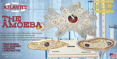 Atlantis Models L3800 The Amazing Amoeba Educational STEM Plastic Model Kit