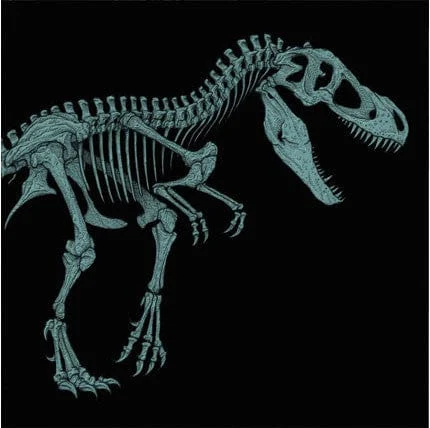Jurassic Park Original Motion Picture Soundtrack (20th Anniversary – Version B) - John Williams