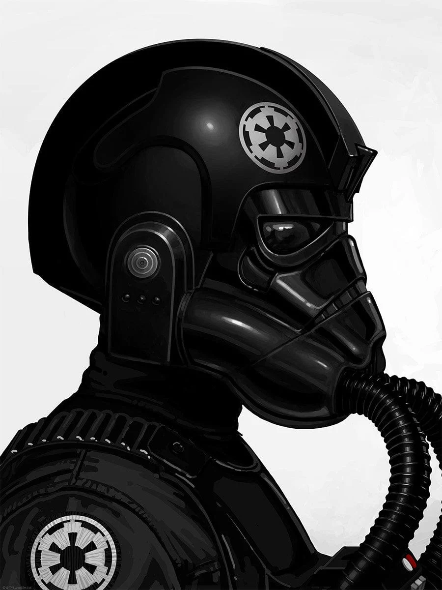 Tie Fighter Pilot - Mike Mitchell