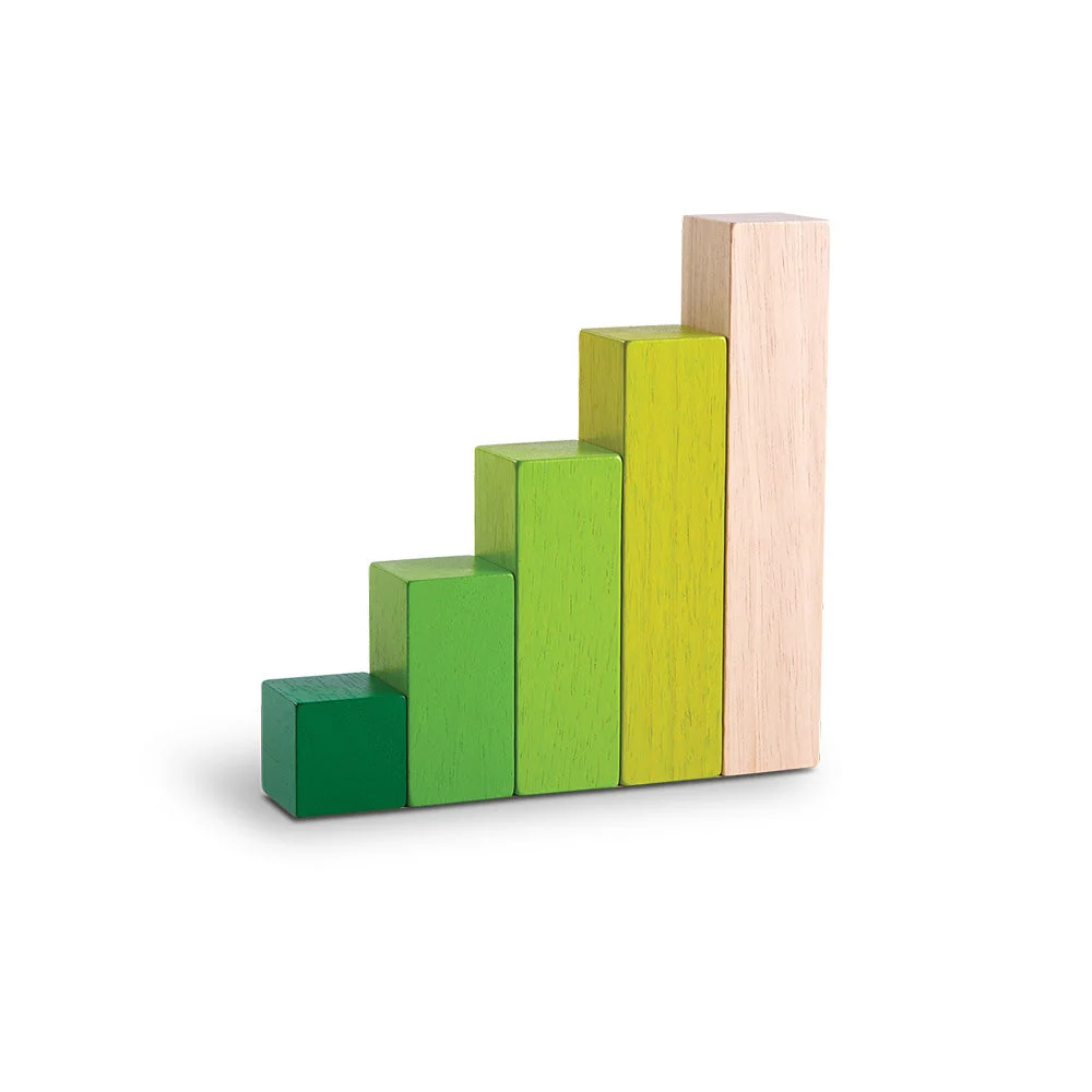 Ordering Wooden Blocks - Plan Toys