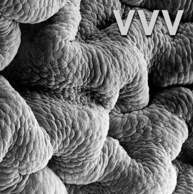 Shadow World by VVV - Holodeck Records