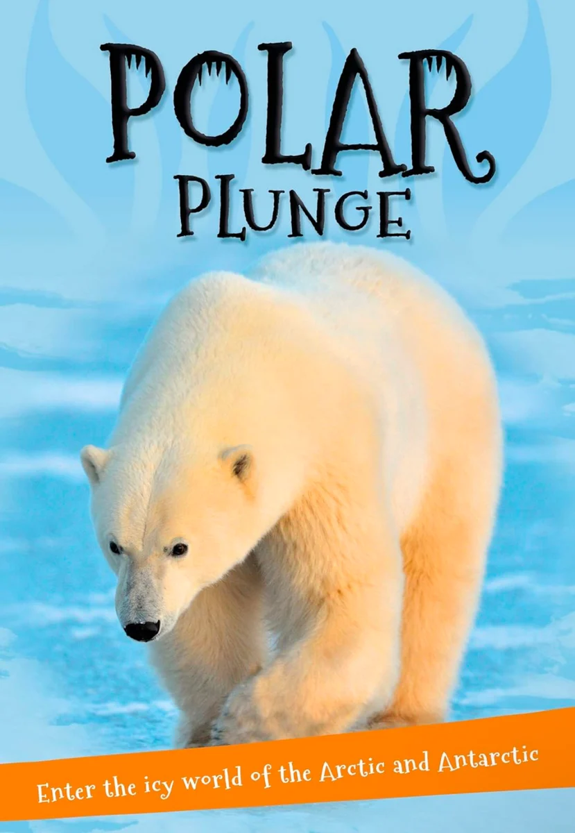 Polar plunge - Grandma's Place
