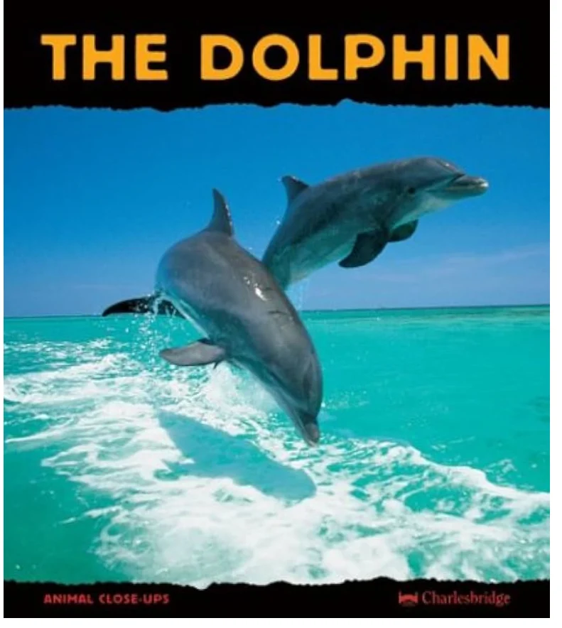 The Dolphin - Charlesbridge Publishing