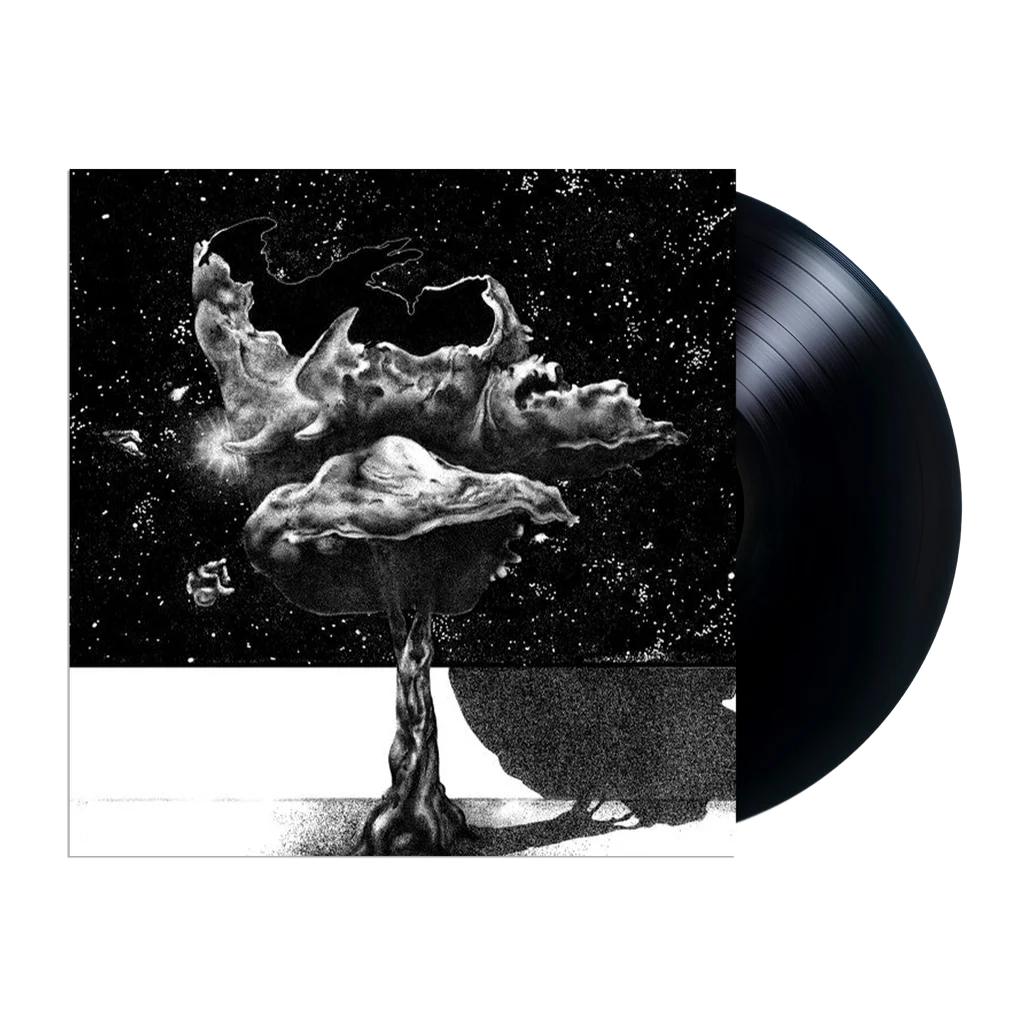 Seek Sound Shelter LP by Somafree Institute