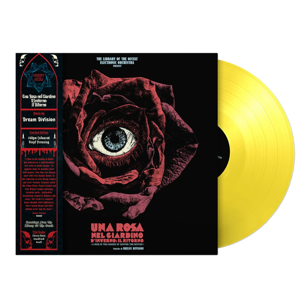 Una Rosa nel Giardino d’Inverno LP by Dream Division