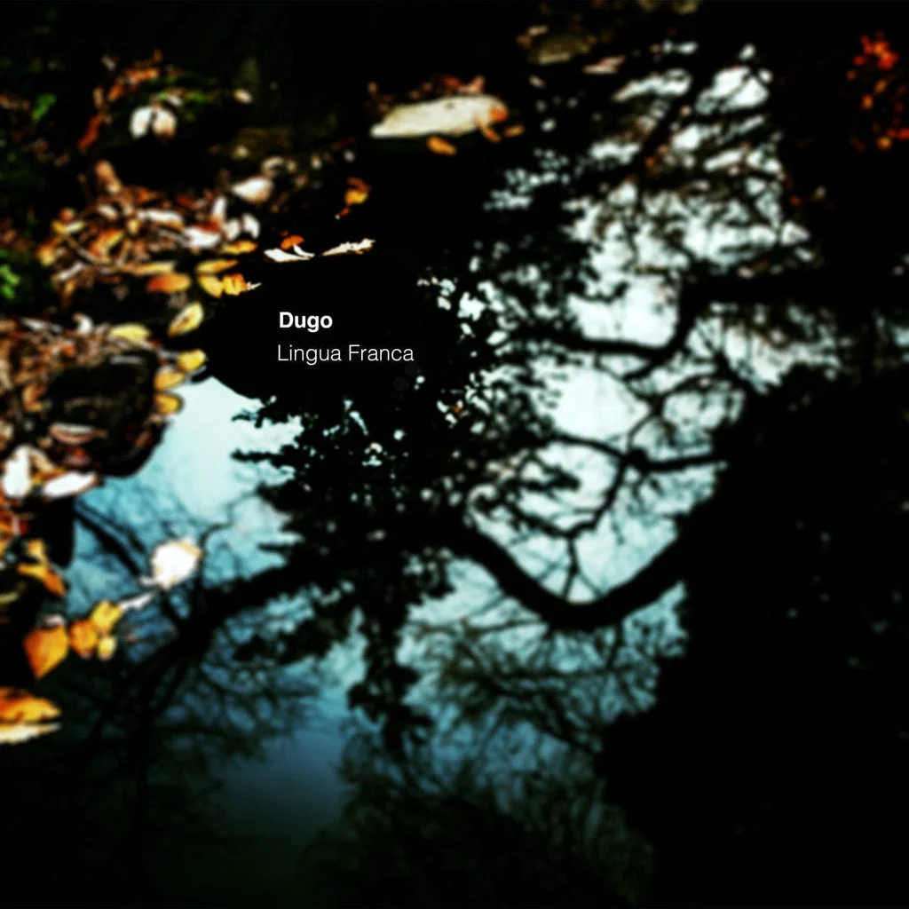 Lingua Franca by Dugo 2XLP - Brave Wave Productions