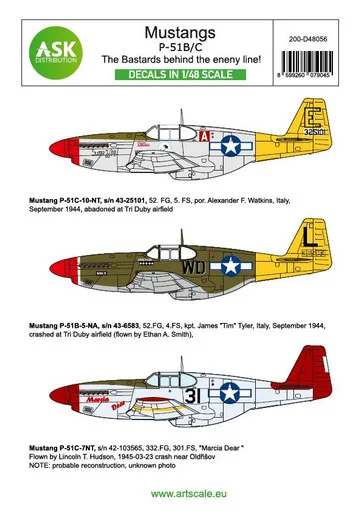 1/48 Art Scale P-51B Mustang - The Bastards behind the enemy lines!