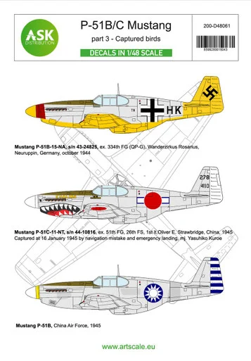 1/48 Art Scale P-51B/C Mustang part 3 - Captured birds