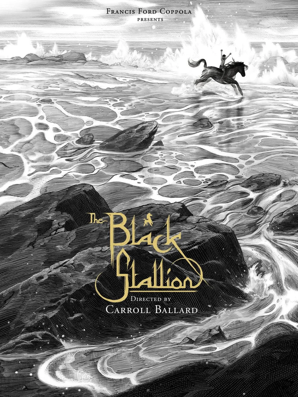 The Black Stallion - Nicolas Delort