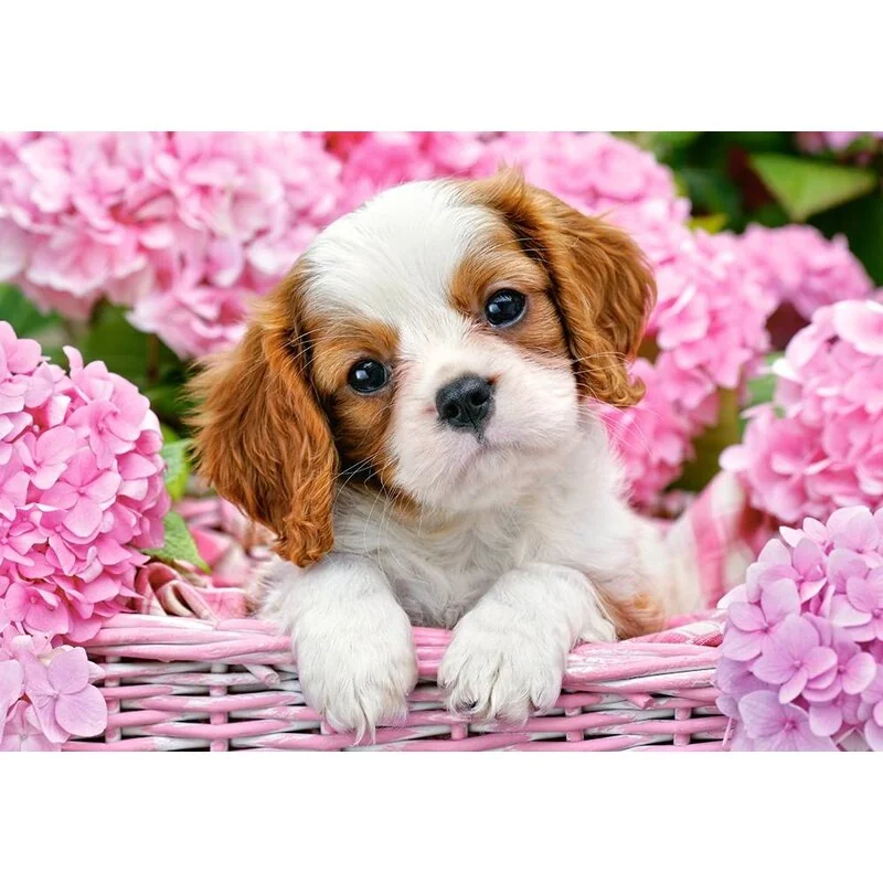 Puzzle Pup in Pink Flowers - Castorland