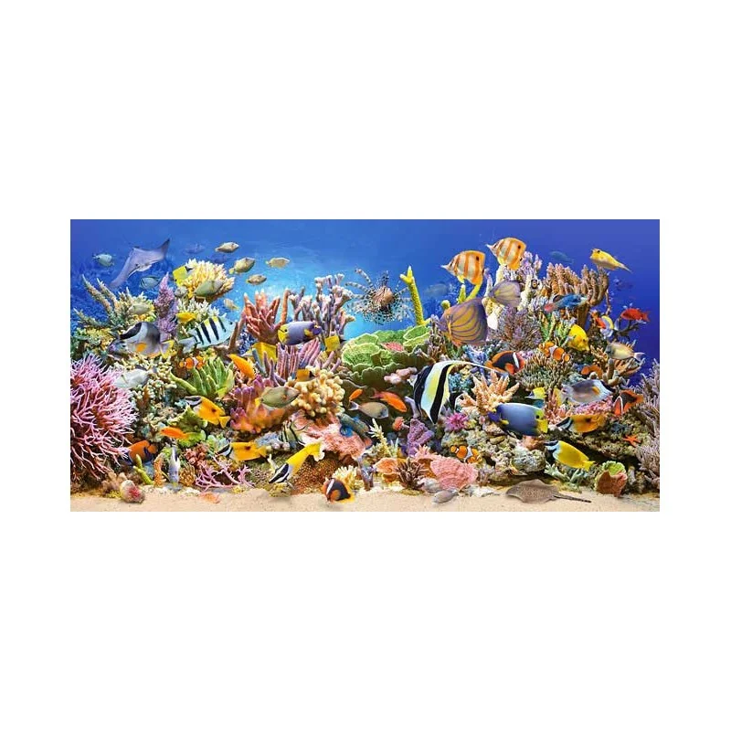 Puzzle UNDER WATER LIFE - Castorland