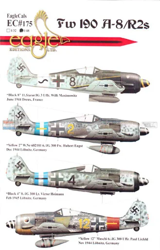 ECL48175 1:48 Eagle Editions Fw190A-8/R2s