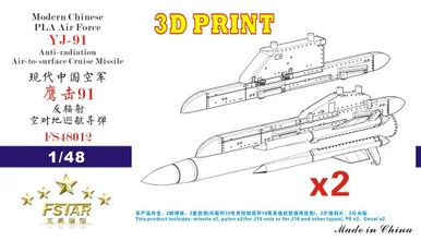 1/48 Five Star Modern Chinese PLA Air Force YJ-91 Anti-radiation Air-to-surface Cruise Missile with Pylons (2 pcs) 3D Printing