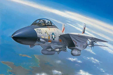 1/72 Hobby Boss F-14A Tomcat