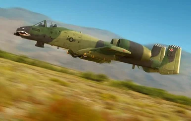 1/48 Hobby Boss A-10A Thunderbolt II