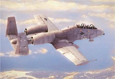 1/48 Hobby Boss N/AW A-10A Thunderbolt II