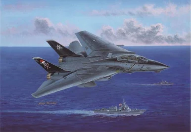 1/48 Hobby Boss F-14B Tomcat