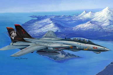 1/48 Hobby Boss F-14D Super Tomcat