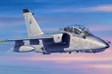 1/48 Hobby Boss A-11B Trainer - HY81743