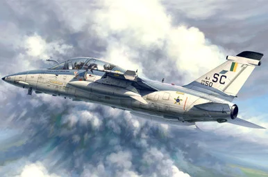 1/48 Hobby Boss A-1B Trainer