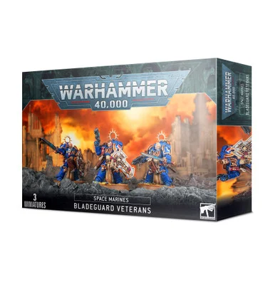 GW48-44 SPACE MARINES BLADEGUARD VETERANS