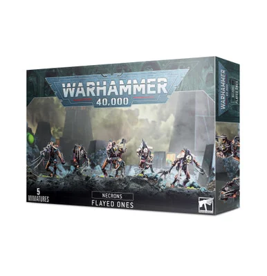 GW49-42 NECRONS: FLAYED ONES