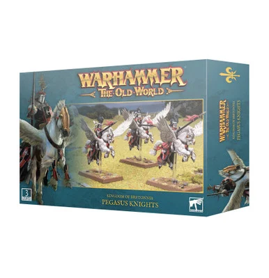 GW06-09 The Old World Bretonnia Pegasus Knights