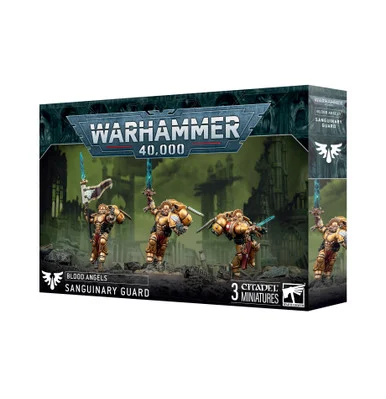 GW41-31 BLOOD ANGELS: SANGUINARY GUARD