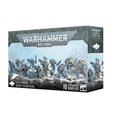GW53-21 SPACE WOLVES: Grey Hunters